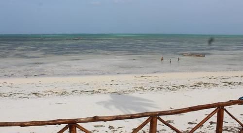 Nyamkwi White Sands Hotell Jambiani (Zanzibar)